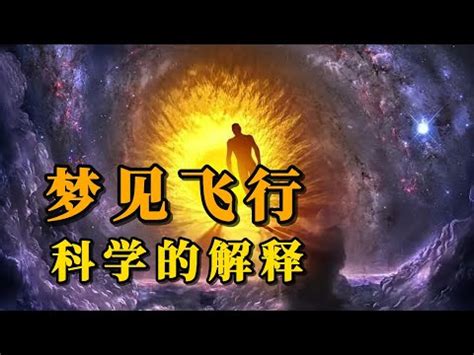 夢見自己會飛號碼|解夢指南：夢見號碼，揭開潛意識的數字密碼 